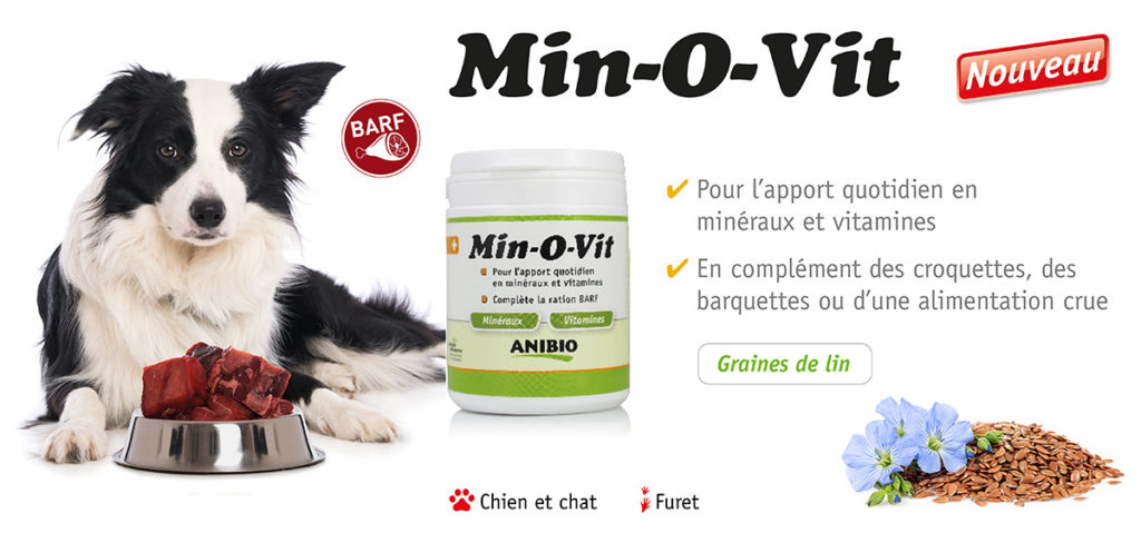 2022-02-Slide-Min-O-Vit-1024x488