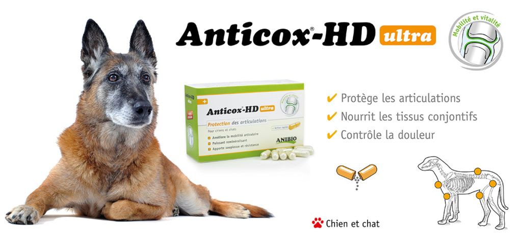 2022-02-Slide-anticox-HD-ultra-1024x488