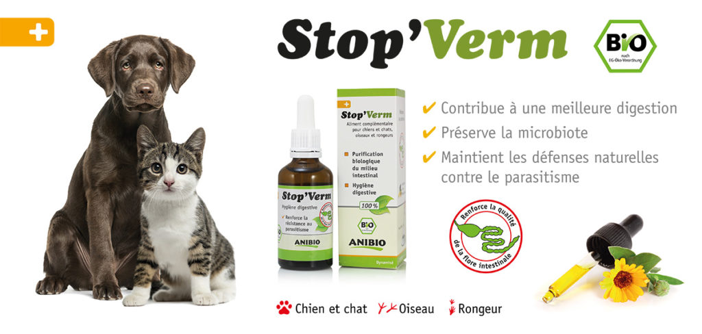 2022-02-Stop-verm-1024x488
